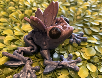 Butterfly Frog