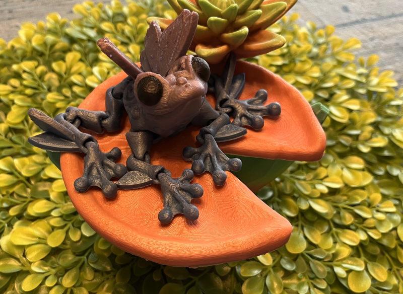 Butterfly Frog - Image 2