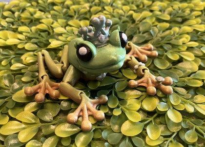 Princess Frog