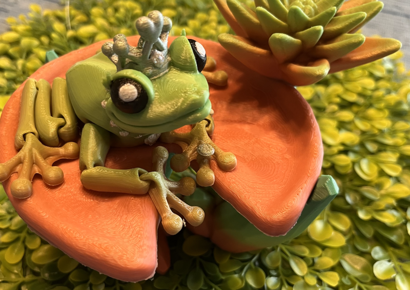 Princess Frog - Image 2