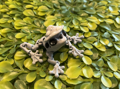 Tiny Mushroom Frog