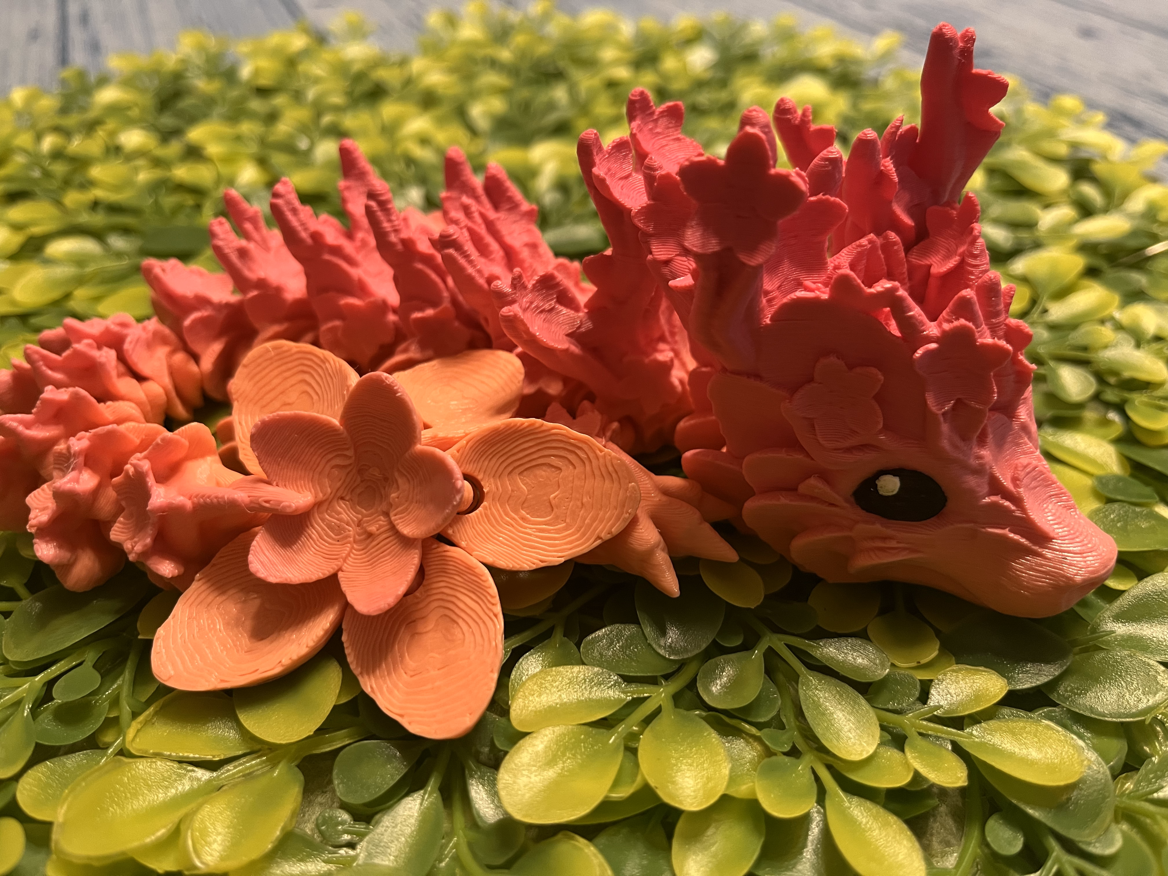 Baby Cherry Blossom Dragon