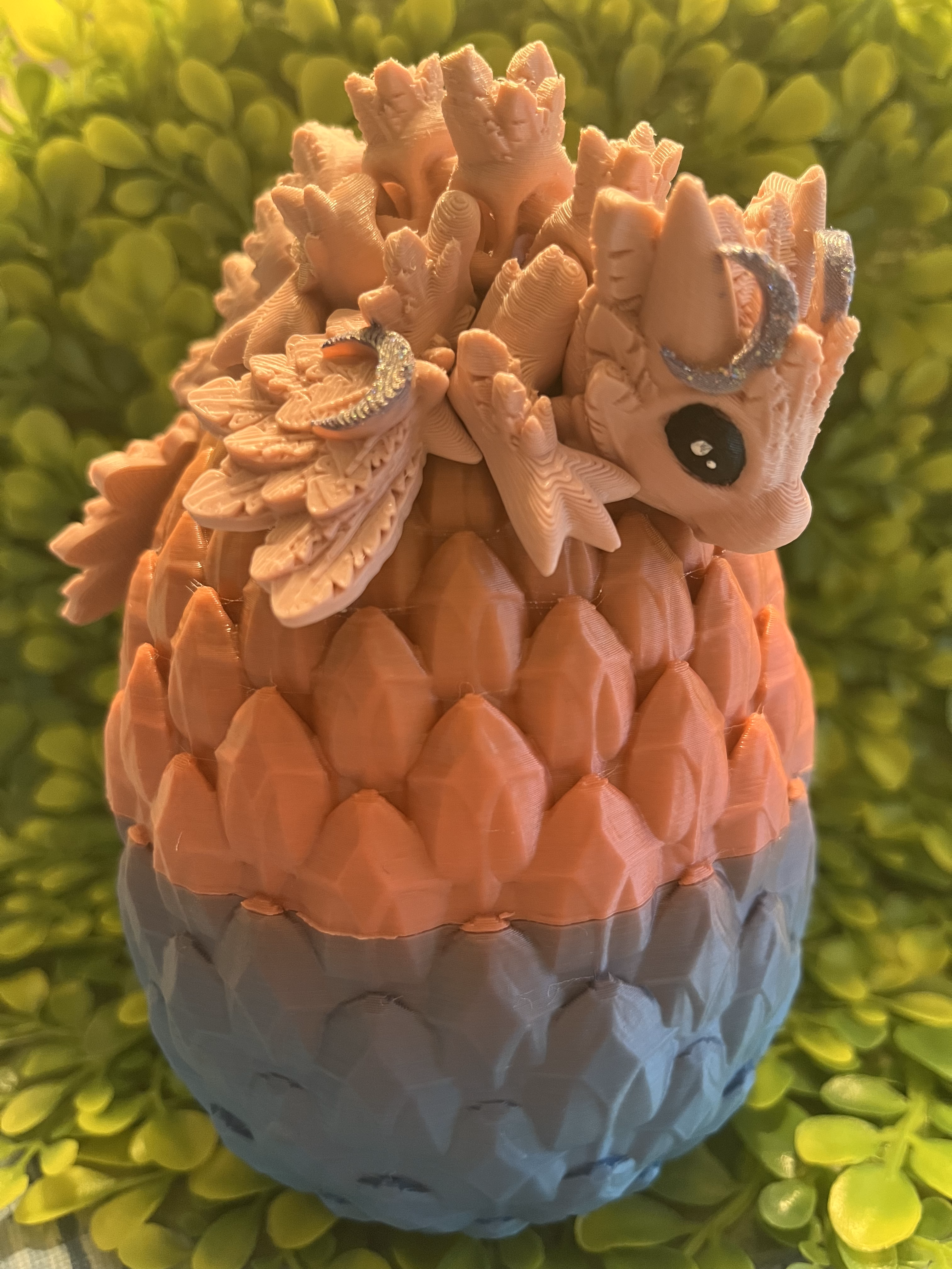 Medium Dragon Egg Combo